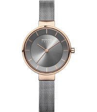 14631-369 Solar 31mm