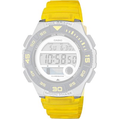 Cinturino Casio 10592727 Collection Women