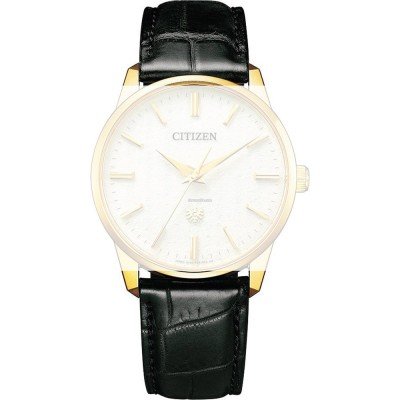 Cinturino Citizen 59-T51213 THE Citizen