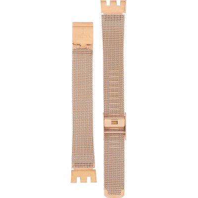 Cinturino Festina BA04544 Automatic skeleton