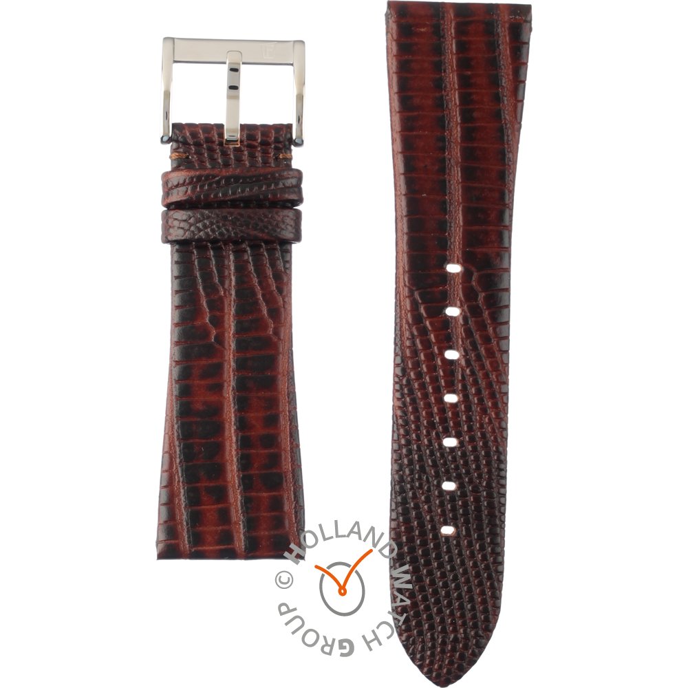 Cinturino Festina Straps BC06725 F16465