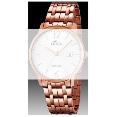 Cinturino Lotus Straps BA03629 18178