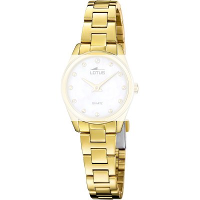 Cinturino Lotus BA04950 Together